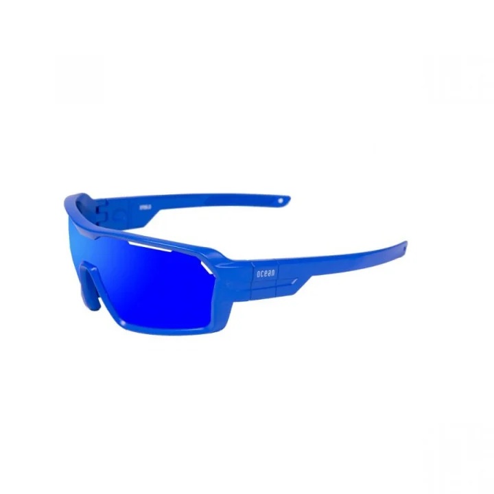 Lunettes de soleil polarisées Chameleon