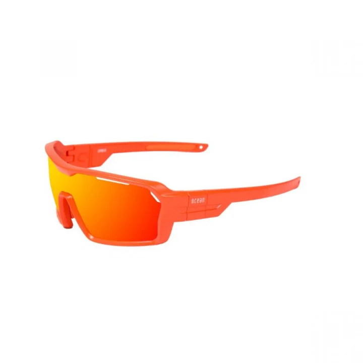 Polarized Chameleon sunglasses