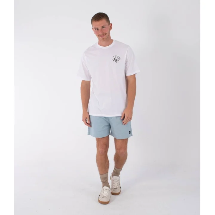 Men’s Icon Ewalkshort 17″ Shorts — Spring breeze