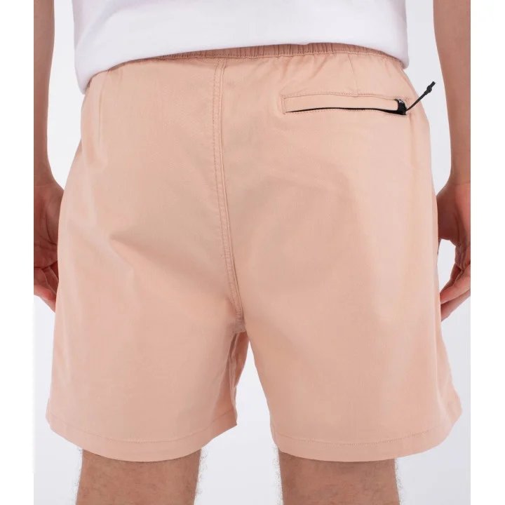 Short Icon Ewalkshort 17″ homme — Beach clay