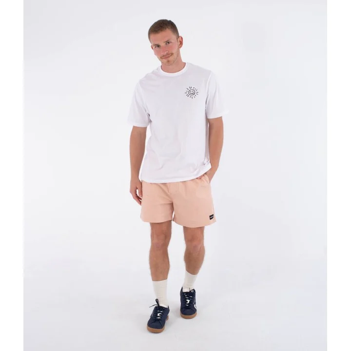 Short Icon Ewalkshort 17″ homme — Beach clay