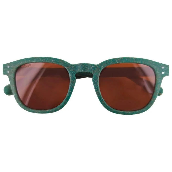 Lunettes de soleil Quincy — Kaki / Marron